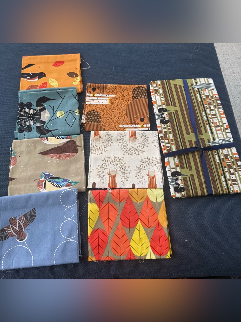 🆕Charley Harper Lakehouse Fabric
